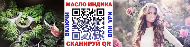 ТГК Wax Махачкала