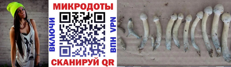 Галлюциногенные грибы MAGIC MUSHROOMS Махачкала